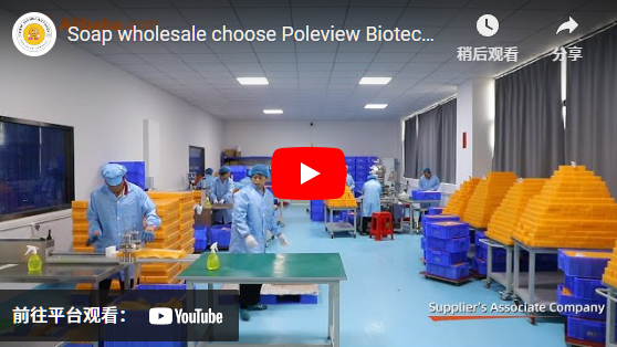 بيع الصابون بالجملة اختر Poleview Biotechnology Group Co., LTD